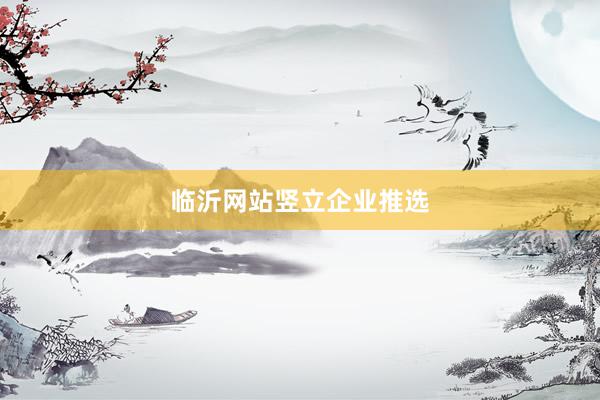 临沂网站竖立企业推选